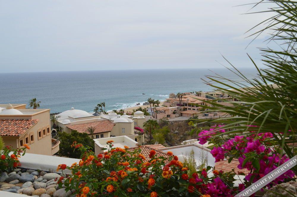 Villa Las Flores Cabo San Lucas Exterior foto
